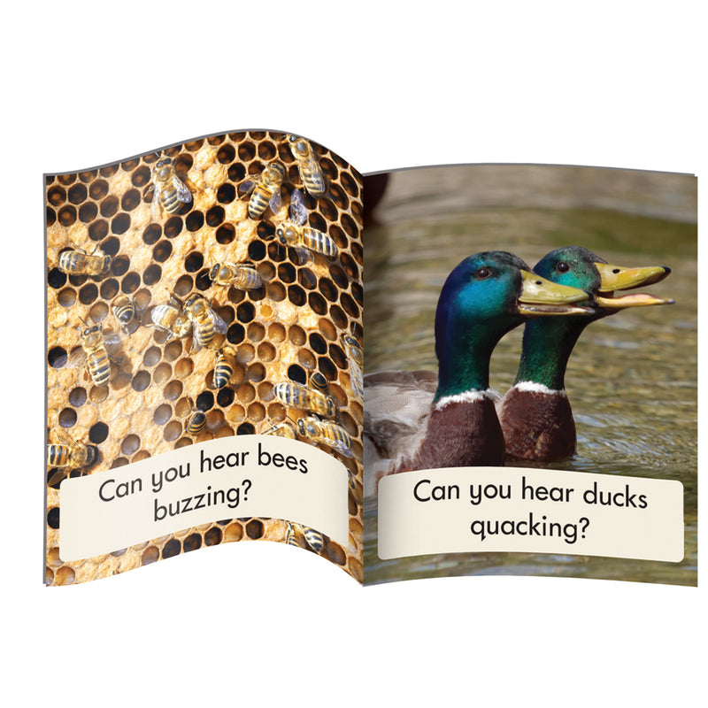 Letters & Sounds Phase 3 Set 1 Non-Fiction - 6 Pack – Junior Learning NZ