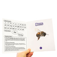 Science Decodables Phase 3 Non-Fiction - 6 Pack
